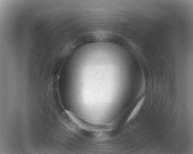 X0000082160221200701262342