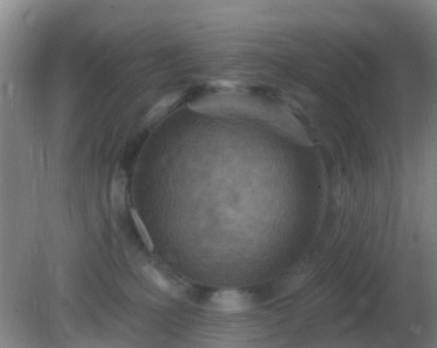 X0000082160231200701262342