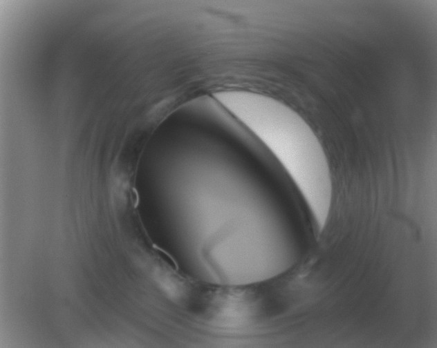 X0000082160235200701262342