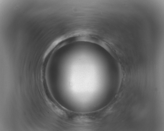 X0000082160244200701262341