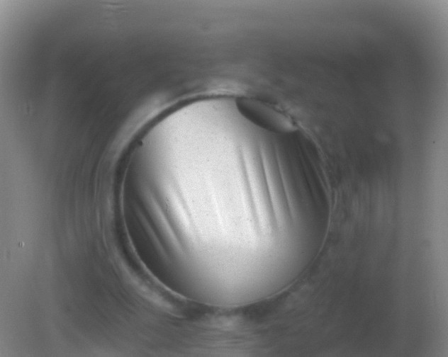 X0000082160247200701262341
