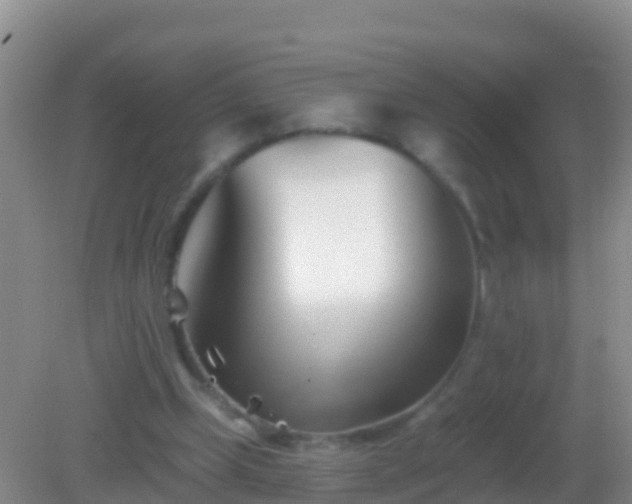 X0000082160249200701262341