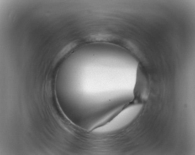 X0000082160250200701262341