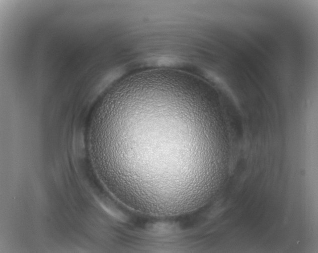 X0000082160251200701262341