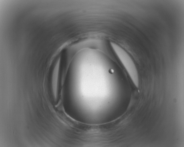 X0000082160252200701262341