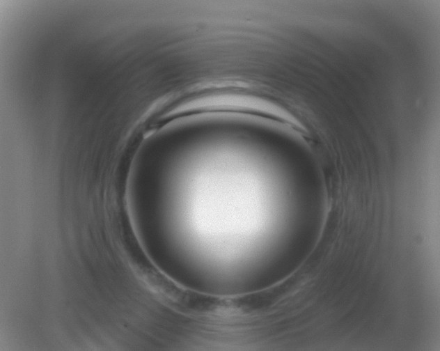 X0000082160256200701262342