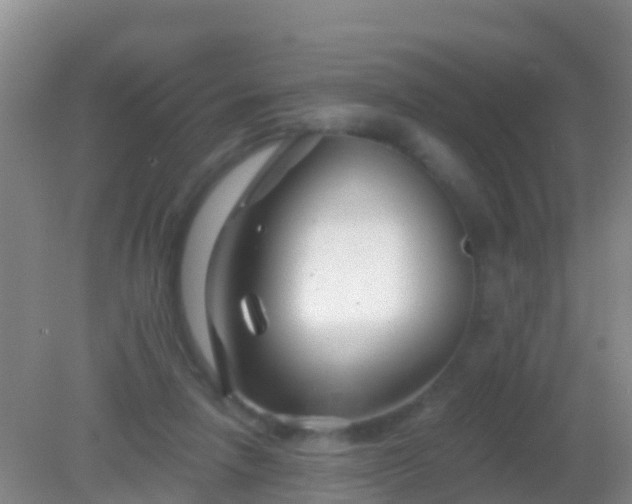 X0000082160258200701262342