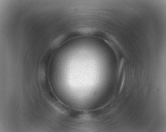 X0000082160259200701262342