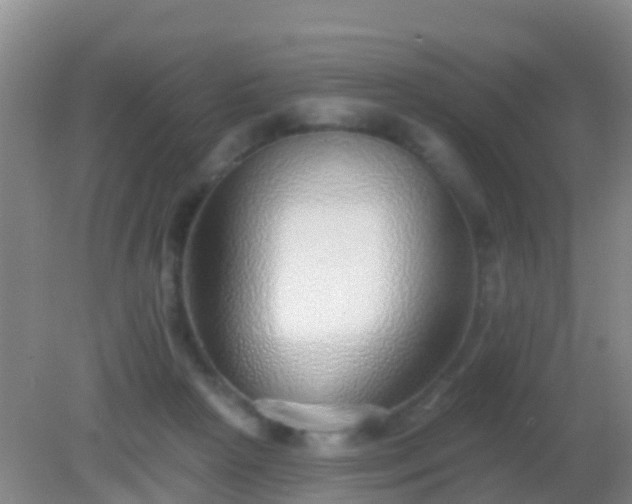 X0000082160265200701262342