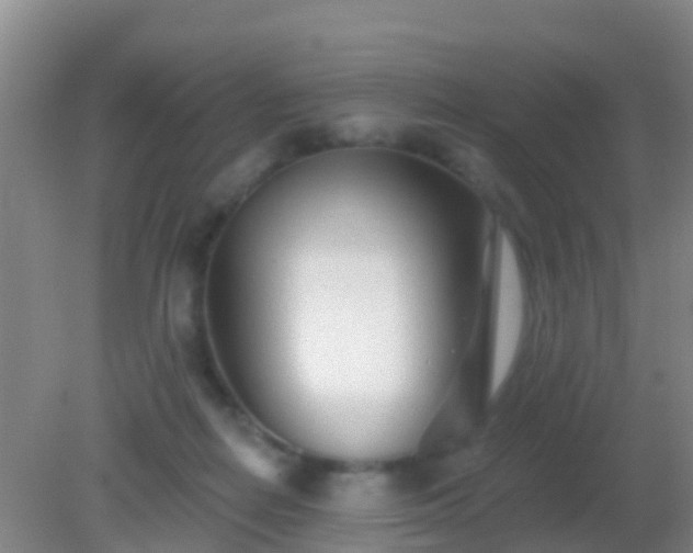 X0000082160266200701262342