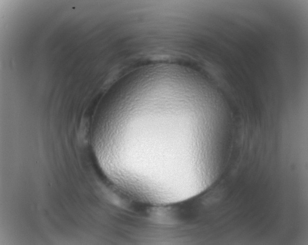 X0000082160273200701262342