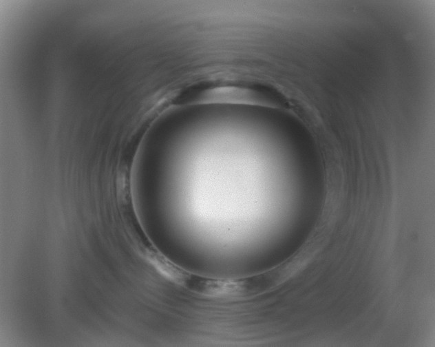 X0000082160288200701262342