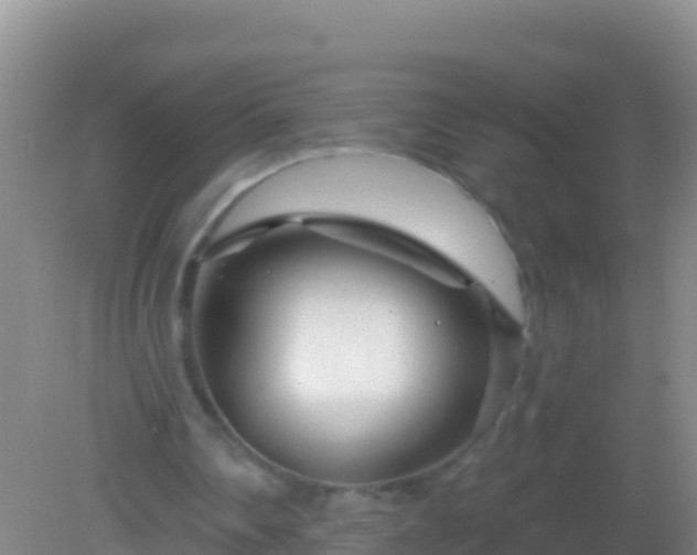 X0000082160290200701262341