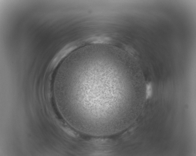 X0000082160291200701262341