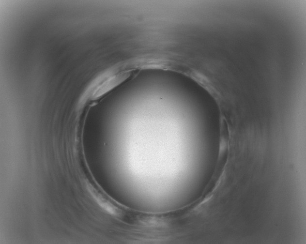 X0000082160293200701262341