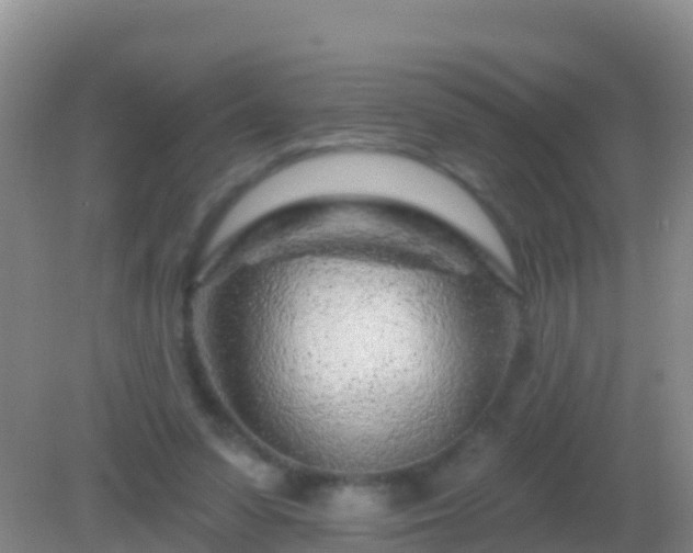 X0000082160303200701262341