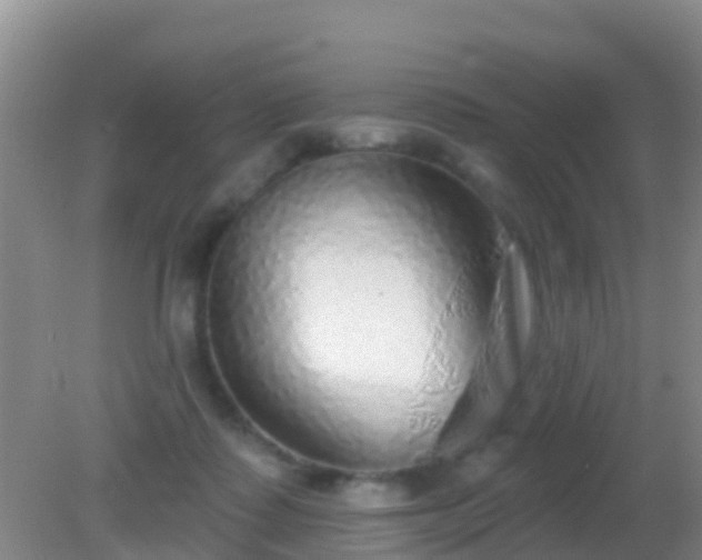 X0000082160315200701262341