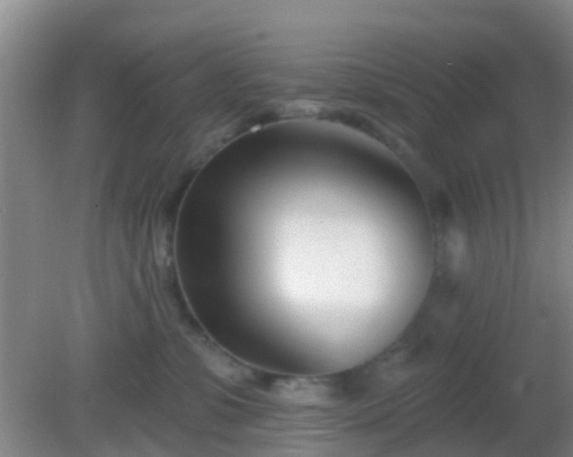 X0000082160331200701262341