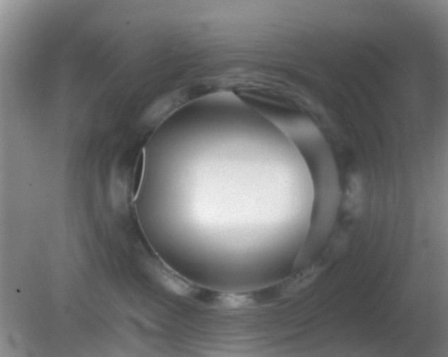 X0000082160333200701262341