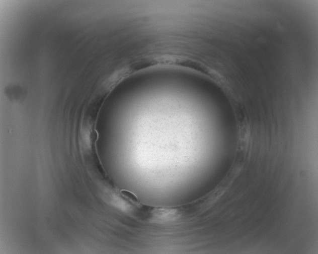 X0000082160334200701262340