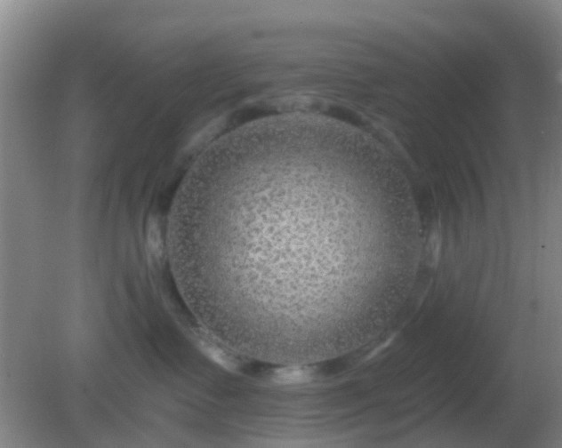 X0000082160335200701262340