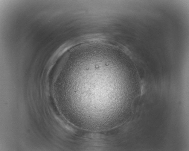 X0000082160339200701262340