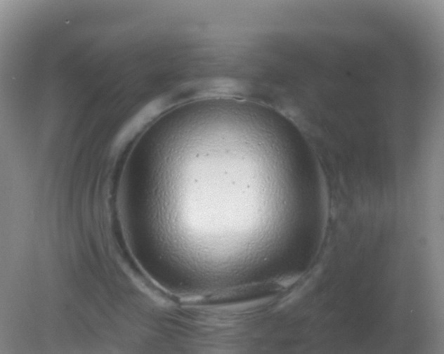 X0000082160341200701262340