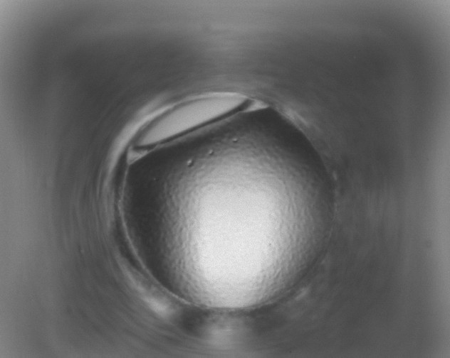 X0000082160343200701262340