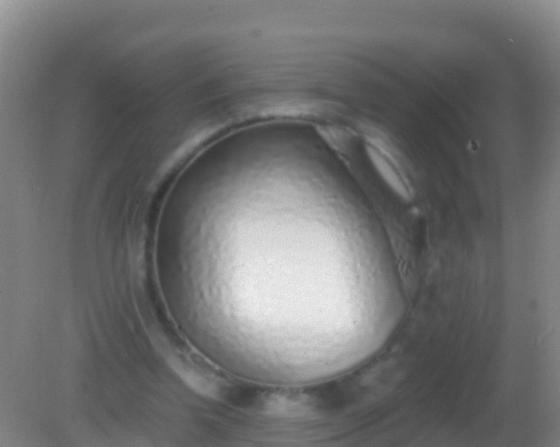 X0000082160346200701262340
