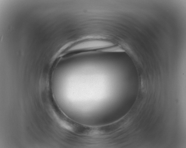 X0000082160348200701262340