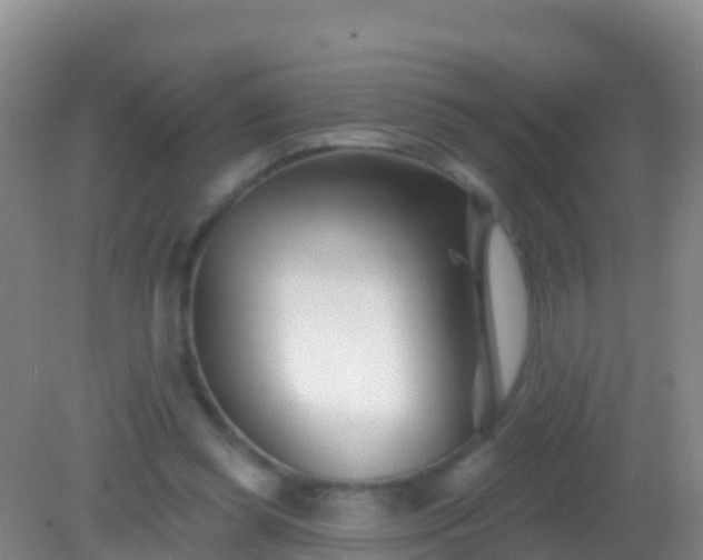 X0000082160349200701262340