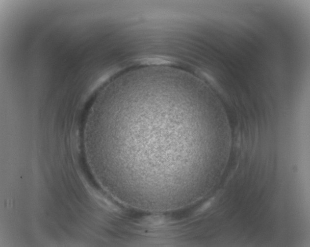 X0000082160351200701262340
