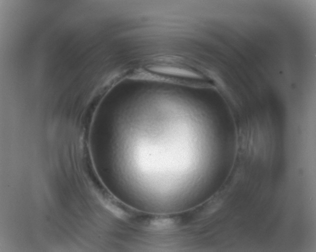 X0000082160357200701262340