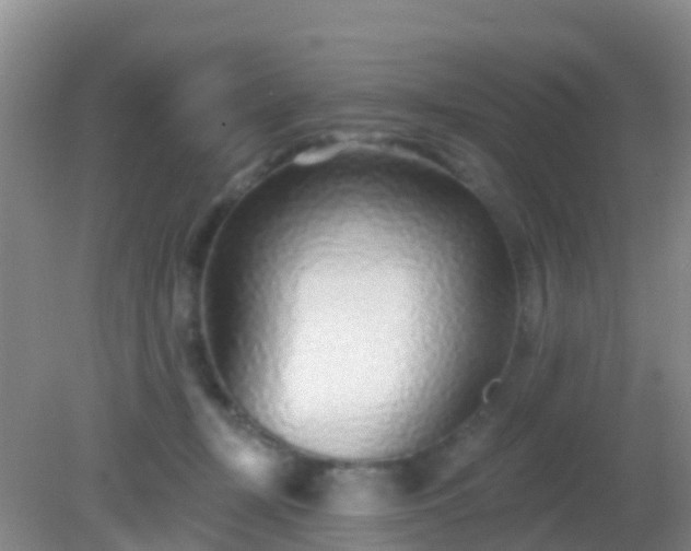 X0000082160367200701262340