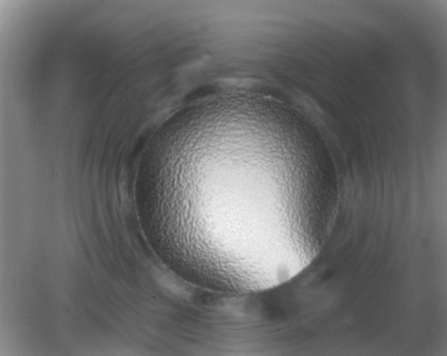 X0000082160377200701262340