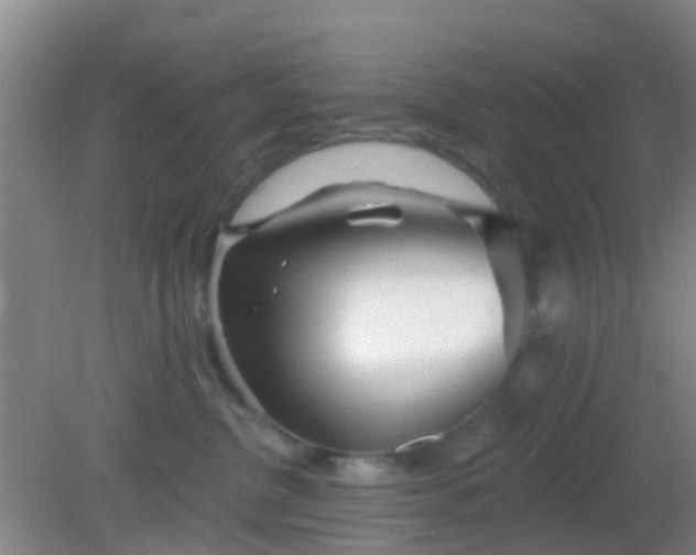 X0000082160380200701262340