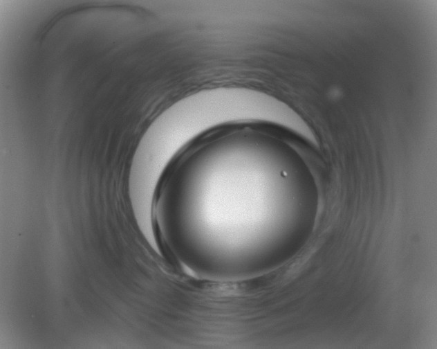 X0000082160384200701262340