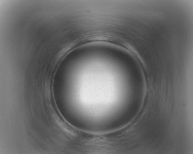 X0000082160386200701262340
