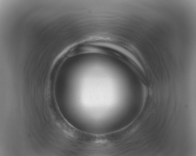 X0000082160388200701262340