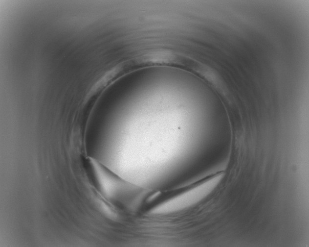 X0000082160397200701262339