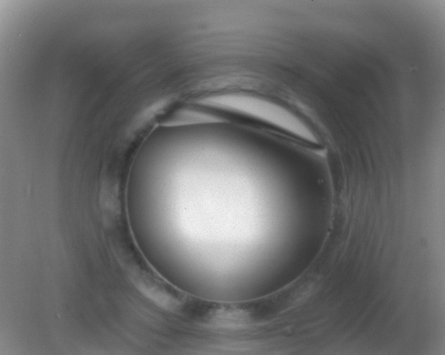 X0000082160403200701262339