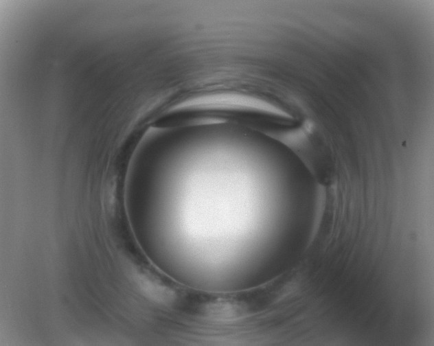 X0000082160404200701262339