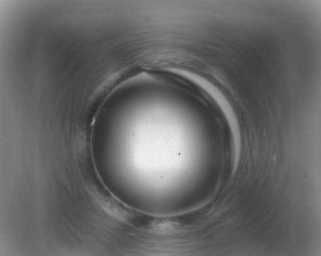 X0000082160407200701262339