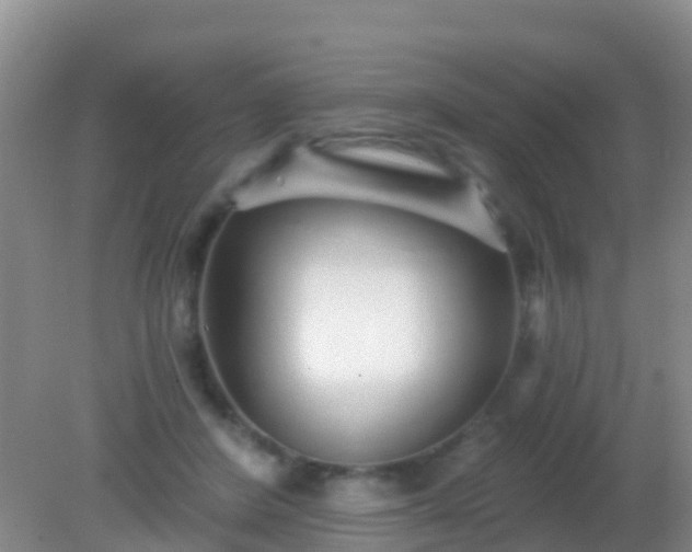 X0000082160408200701262339