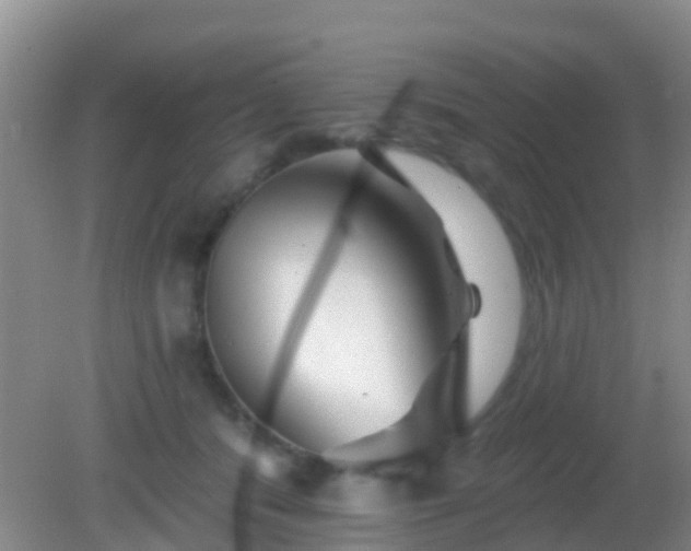 X0000082160416200701262339