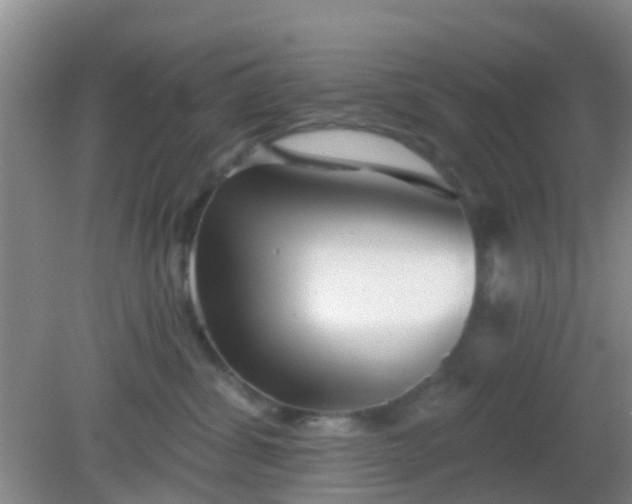 X0000082160428200701262339