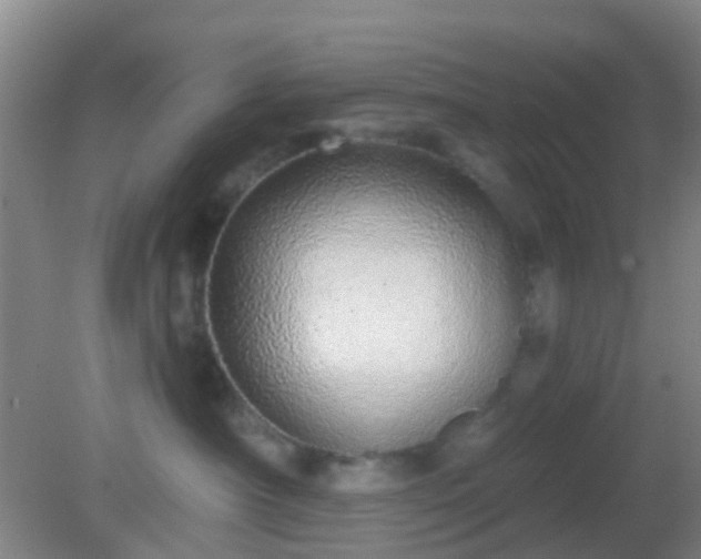 X0000082160430200701262339