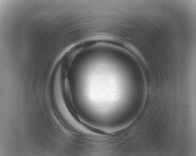 X0000082160436200701262338