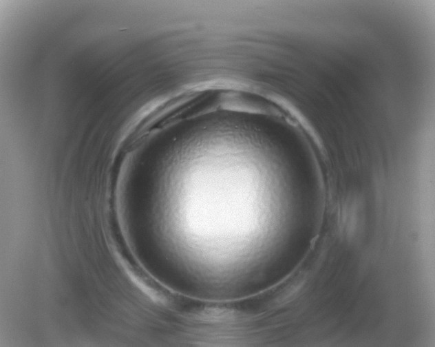 X0000082160437200701262338