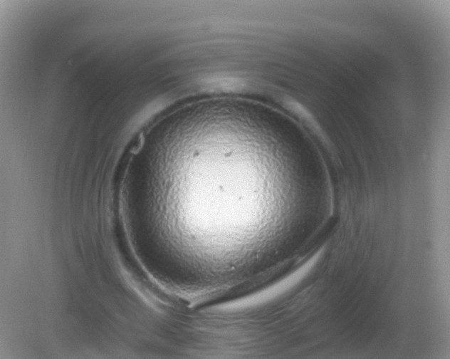 X0000082160439200701262338